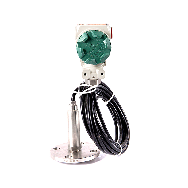 Immersion Level Transmitter with IP68 Sealing and Separated Converter